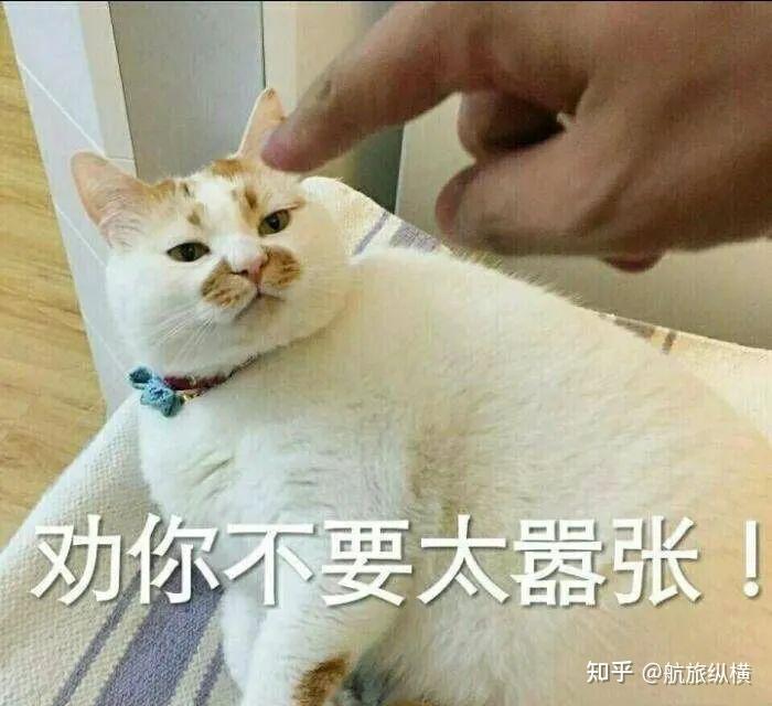 高铁座椅上的犄角到底是干啥的：旋转座椅的小把手