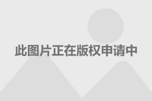 吴胜波任命兼管福特国际市场集团业务,全新新能源产品年内亮相