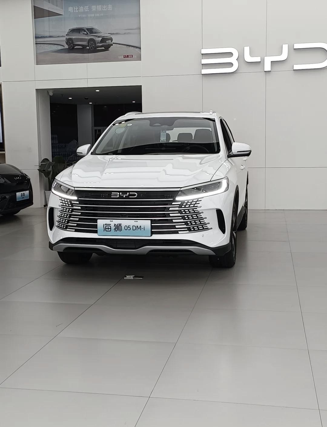 现代汽车集团在美国的电动汽车市场份额达到10%