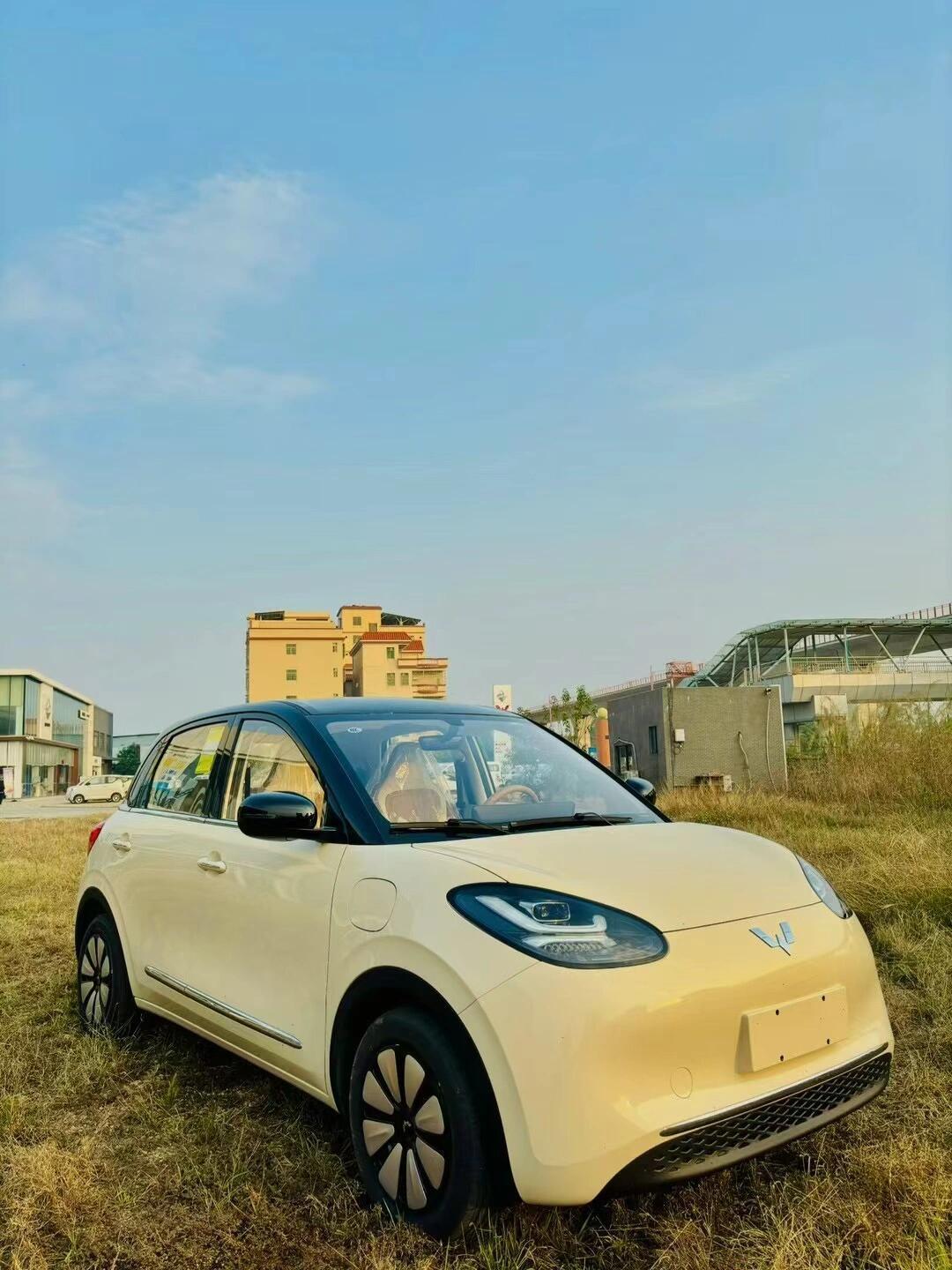或定名缤果S/吉利星愿等新竞品 五菱全新纯电动小型SUV谍照曝光